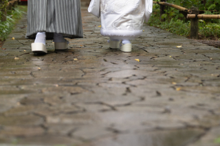 【新緑】緑あふれる雨の目白庭園