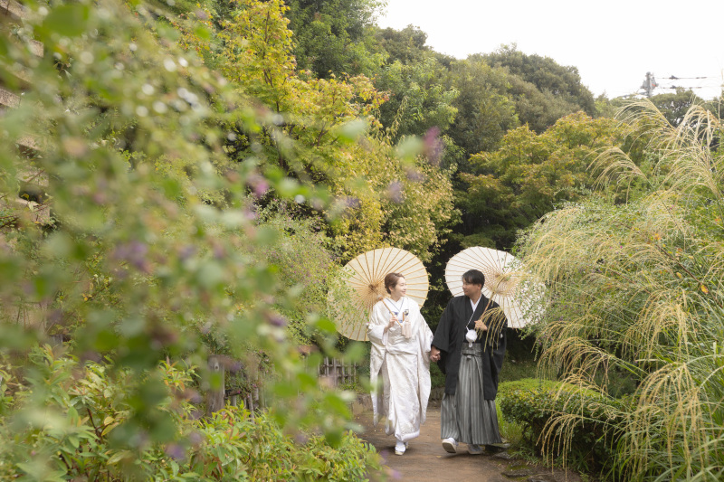 【新緑】緑あふれる雨の目白庭園