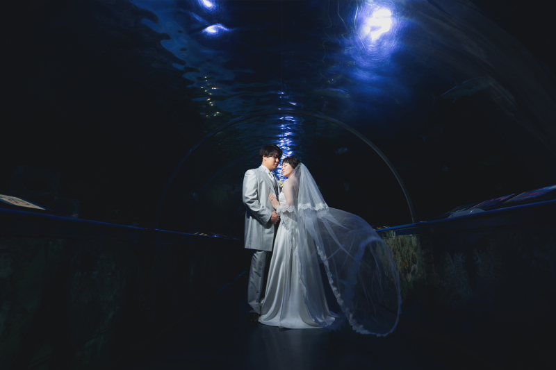 【スタジオAQUA】和装スタジオPLUSと洋装しながわ水族館にてご撮影！