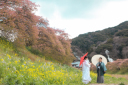 和装桜ロケーション!