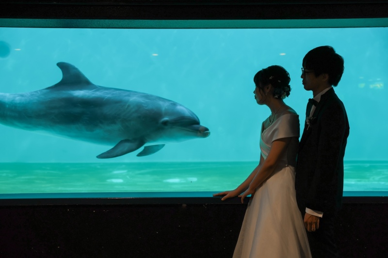 水族館でウェディングフォト