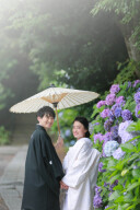 和装の紫陽花ロケの予約を開始します！