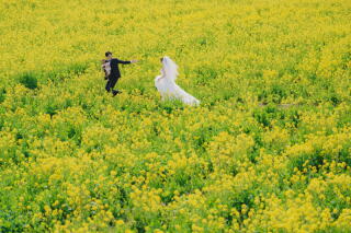 【菜の花に囲まれて】河津ロケーション