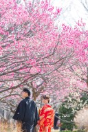 本日はとても暖かい日差しでした。