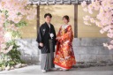 屋内庭園で、春と秋が同時に訪れる特別な撮影を!