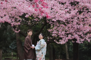 桜ロケーション