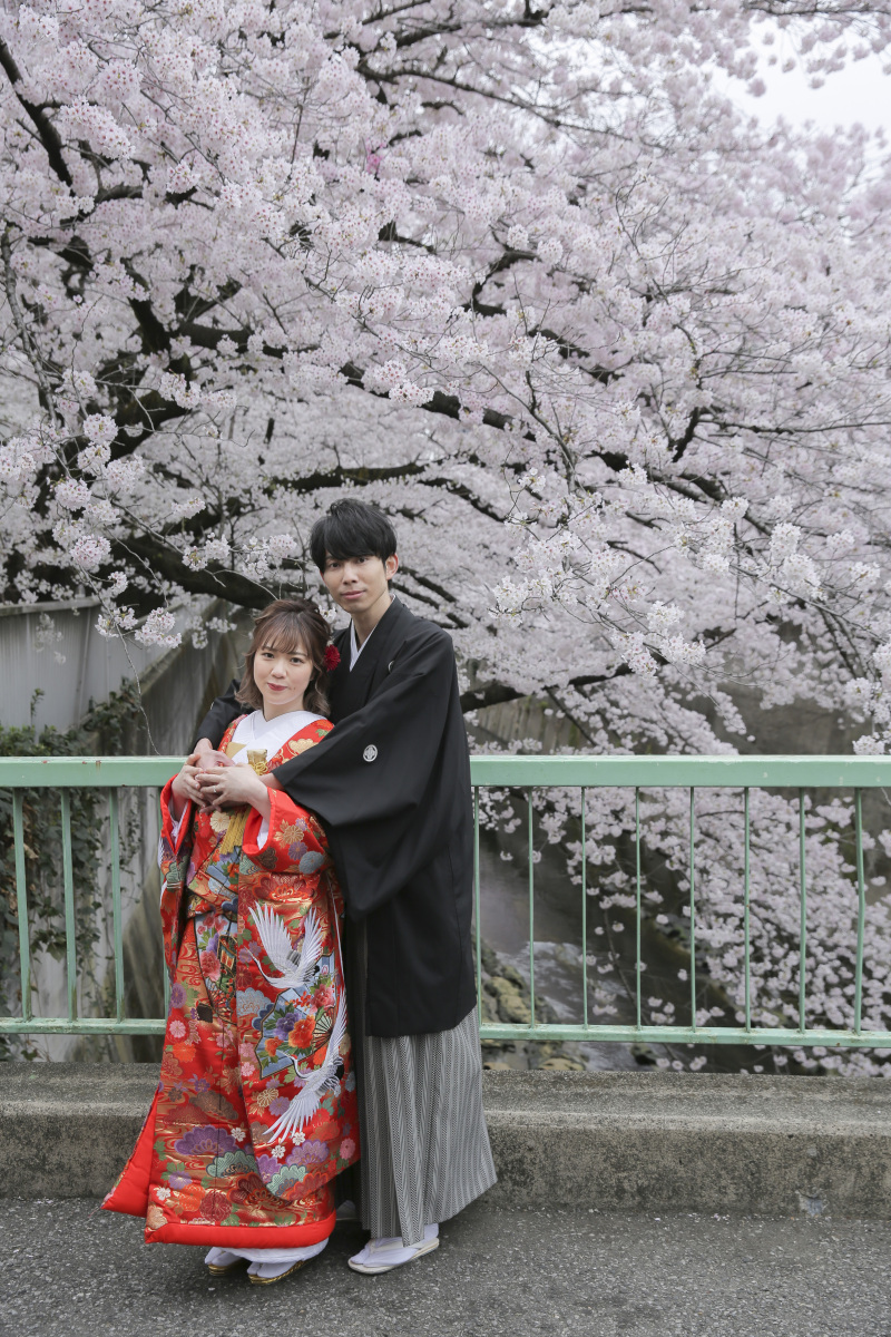桜撮影のご紹介!
