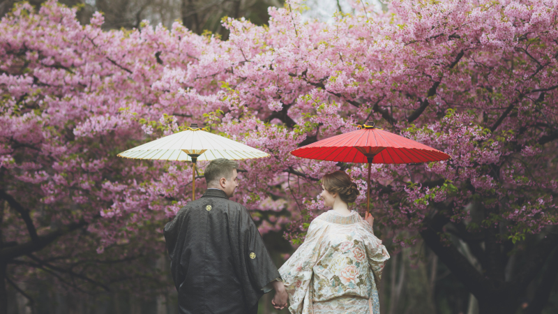 喫茶店と桜で映画のワンシーンのような撮影を
