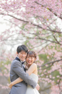 昭和記念公園の寒桜も見頃です１