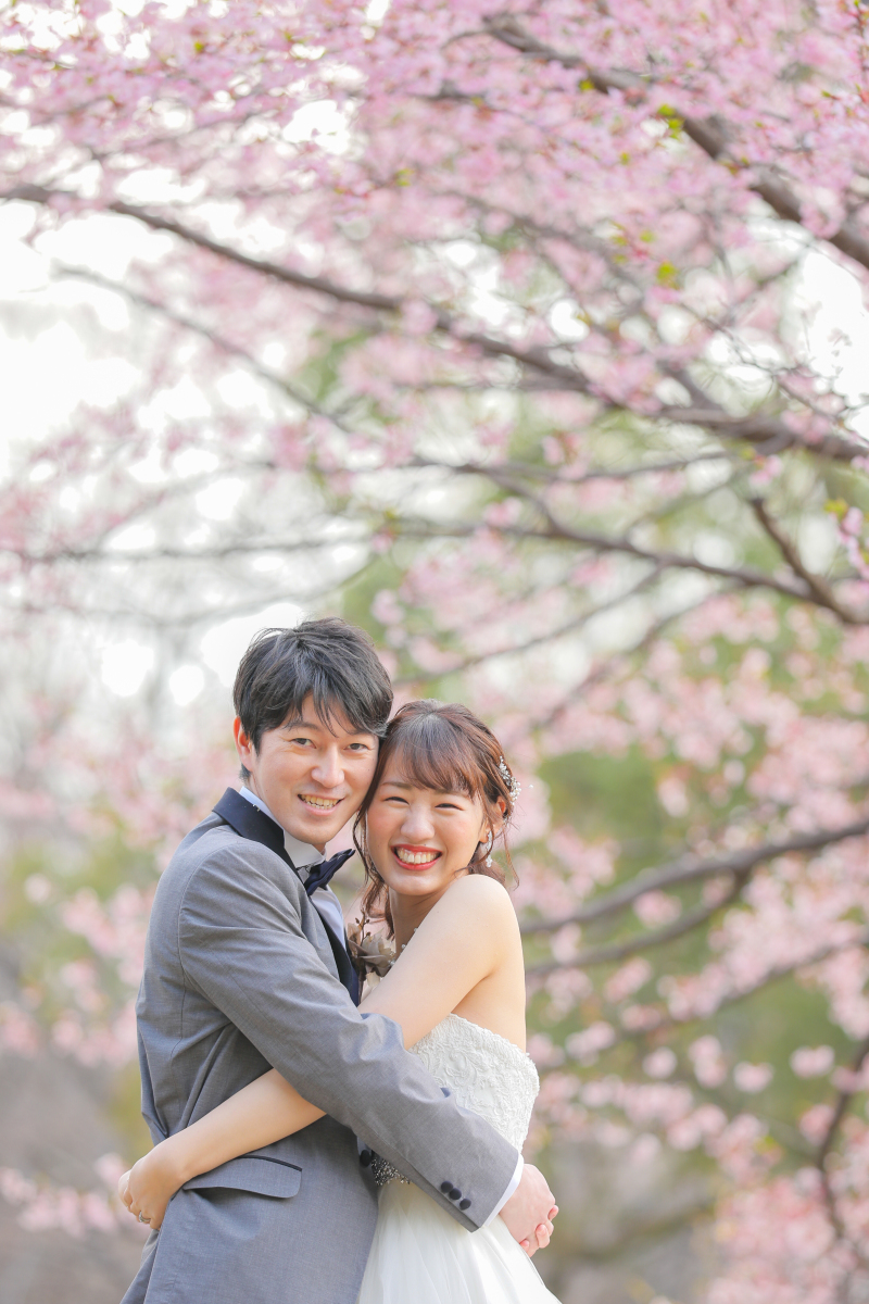 昭和記念公園の寒桜も見頃です１