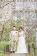 スタジオアクア新宿店です。 新宿中央公園の桜の開花状況です6