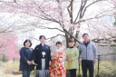 スタジオアクア新宿店です。 昭和記念公園の桜の開花状況です5