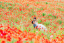 お花の季節になりました！