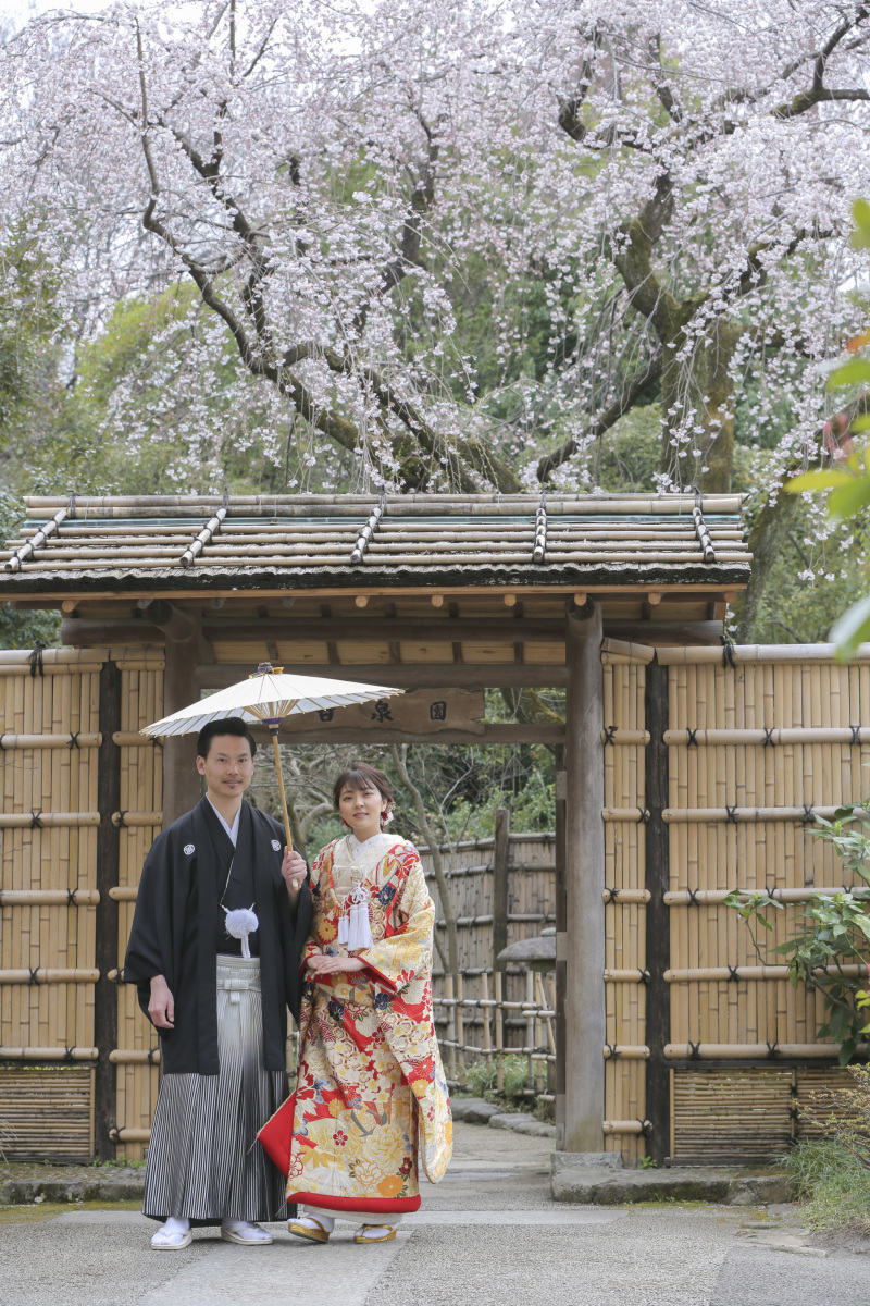 桜撮影のご紹介!