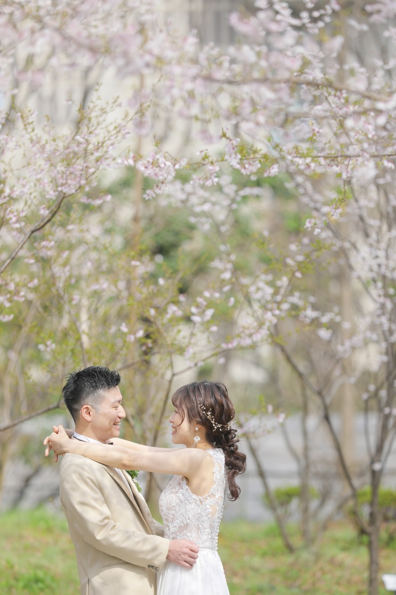スタジオアクア新宿店です。 新宿中央公園の桜の開花状況です8