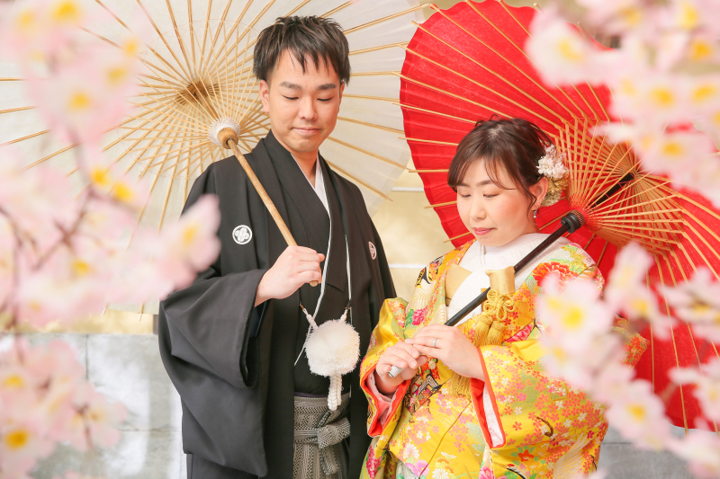 屋内庭園スタジオ