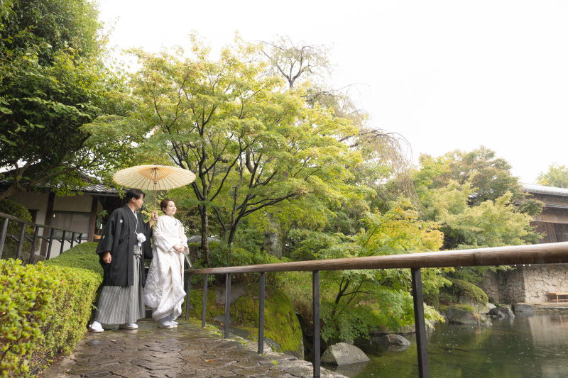 【新緑】緑あふれる雨の目白庭園