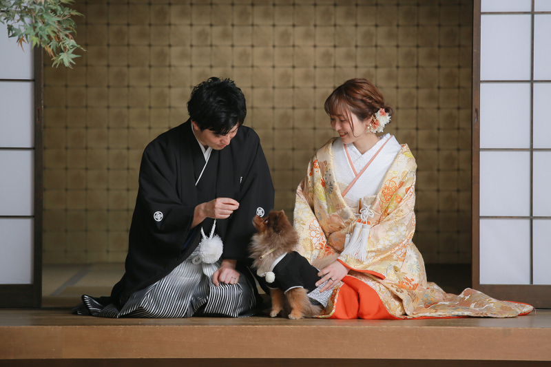 ワンちゃんとの撮影