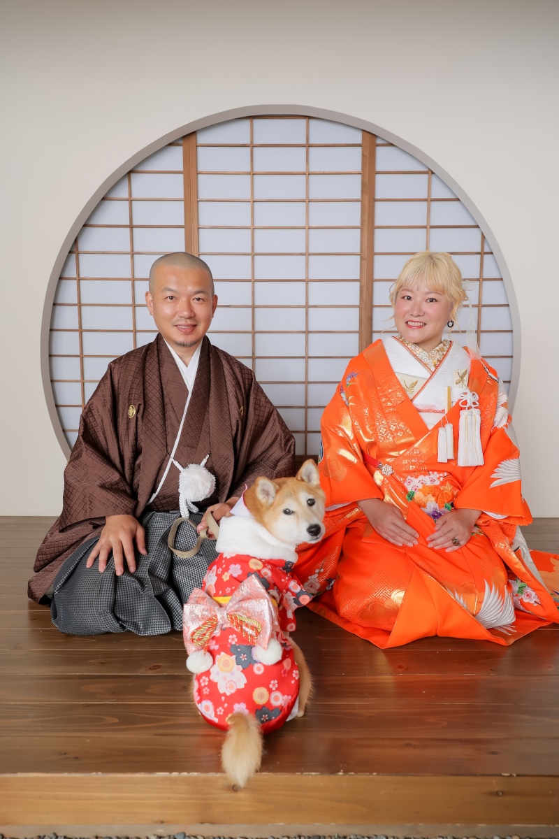 スタジオで柴犬と！