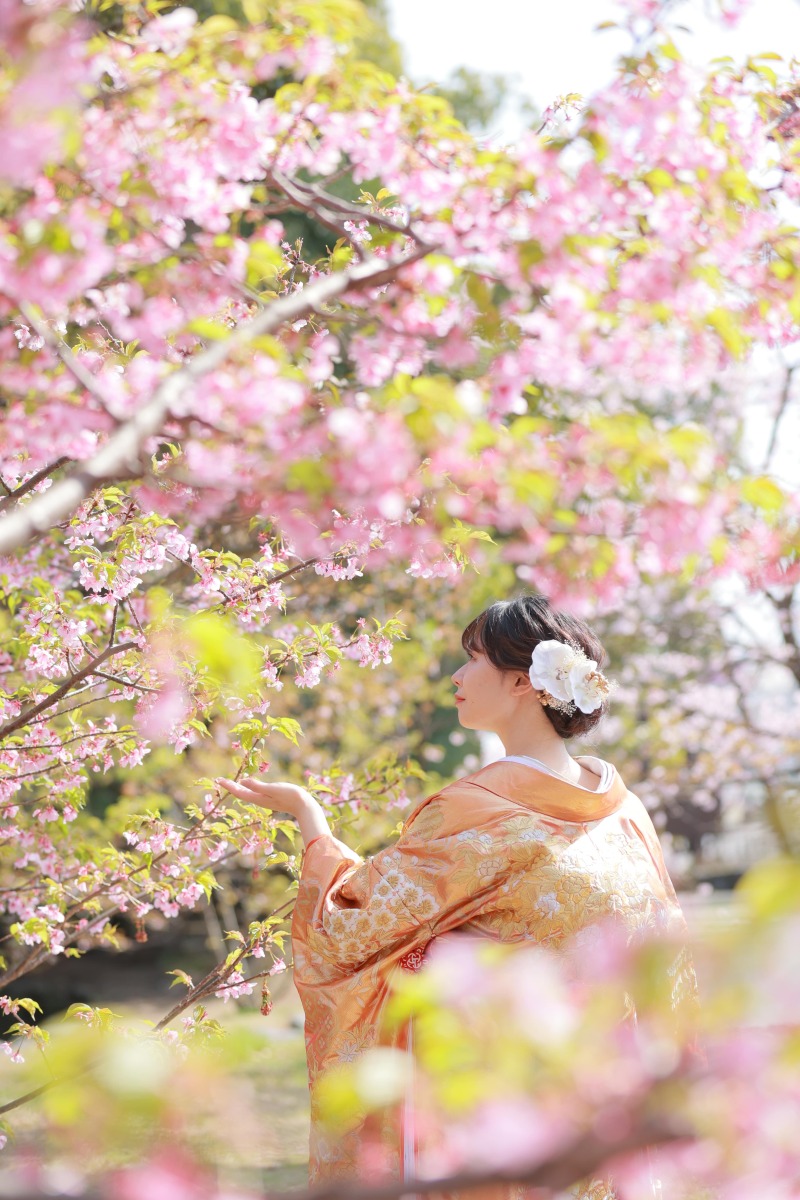 【富士ロケーション】満開の桜と一緒に