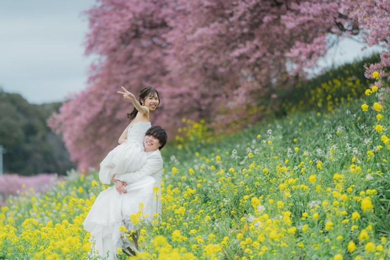 河津桜のいいところ!