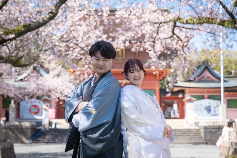 富士浅間大社桜