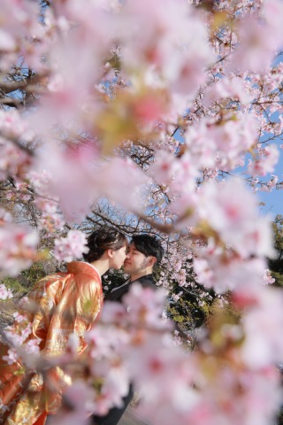 ちょっこと桜も残しませんか？