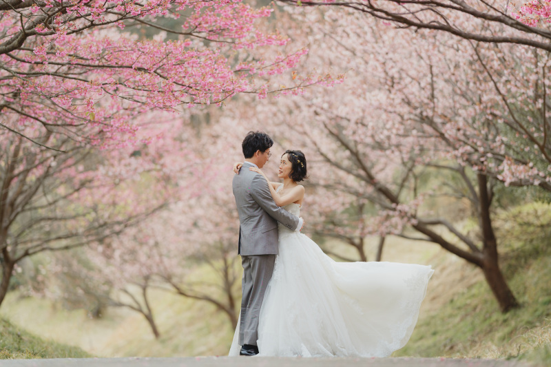 【河津桜】四季を目一杯感じに行きませんか?