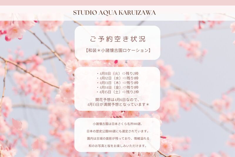 軽井沢で桜撮影