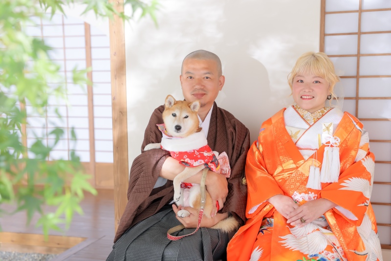 スタジオで柴犬と！