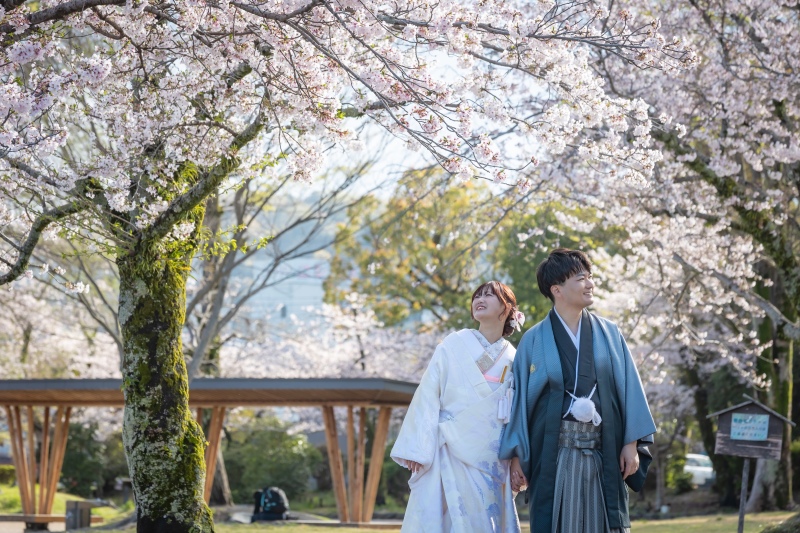 富士浅間大社桜