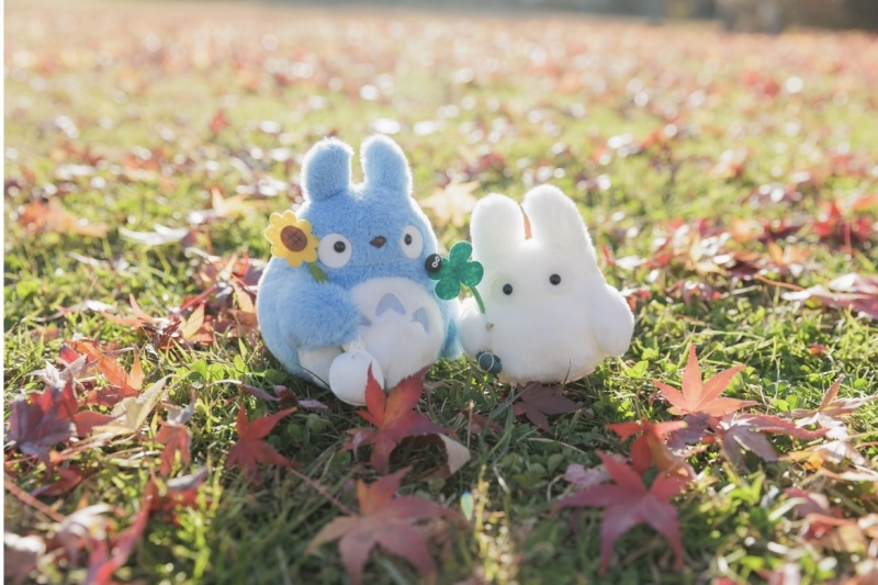 秋の富士五湖「西湖」での前撮り