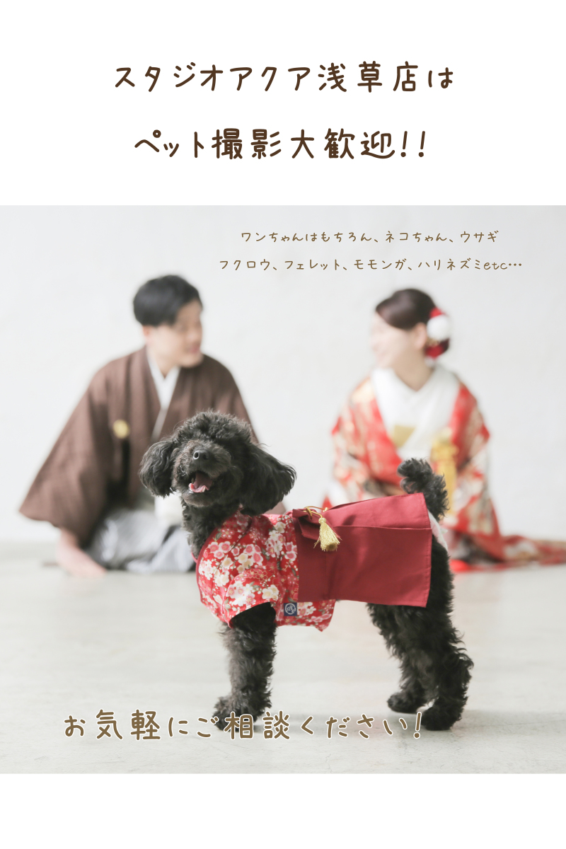 ペット撮影時のお願い
