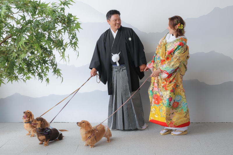 3匹のわんちゃんと和装で！