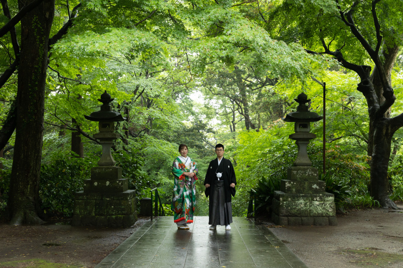雨でも映える!新緑の妙本寺撮影