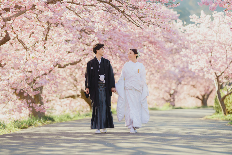 ピンクに色づく河津桜で撮影しませんか?