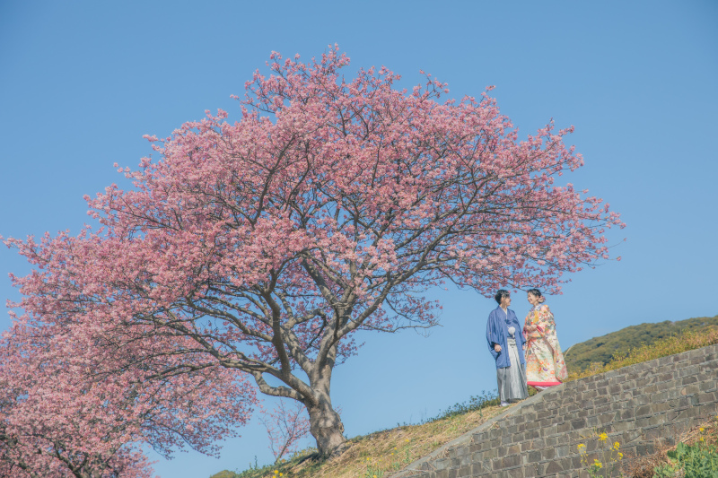 河津桜と一緒に素敵な写真を残しましょう♫