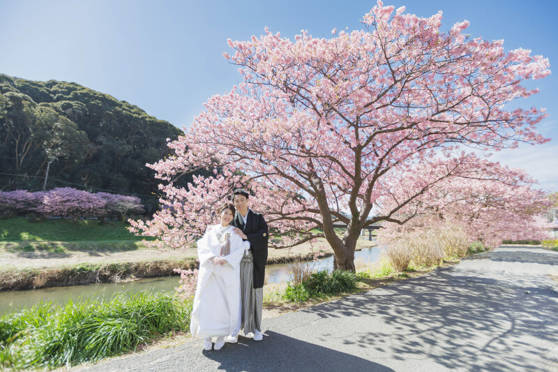早咲きの桜のもとで【河津桜ロケーション】