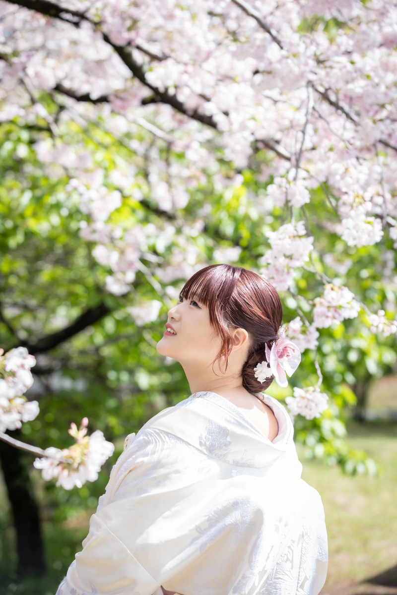 富士浅間大社桜