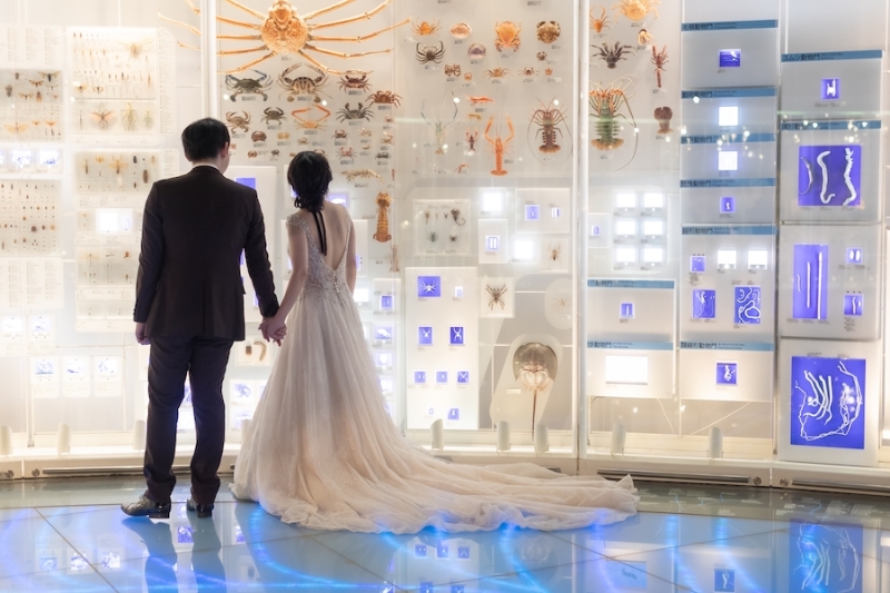 東京科学博物館の撮影