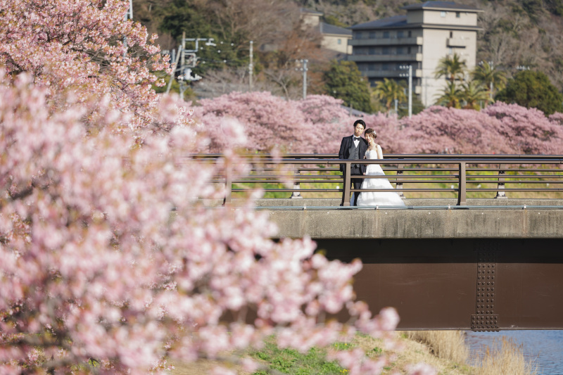 早咲きの桜のもとで【河津桜ロケーション】