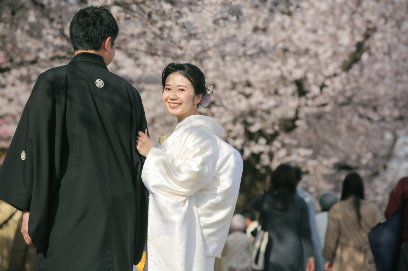 桜と一緒に浅草で撮影しませんか?