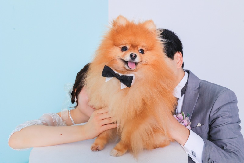 ワンちゃんと一緒に♫洋装撮影