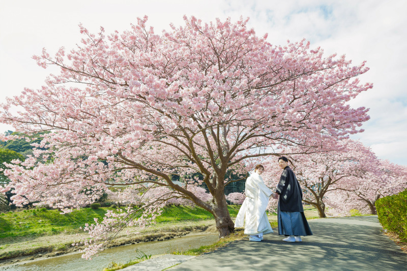 早咲きの河津桜ロケーション【ご予約始まっています!!】