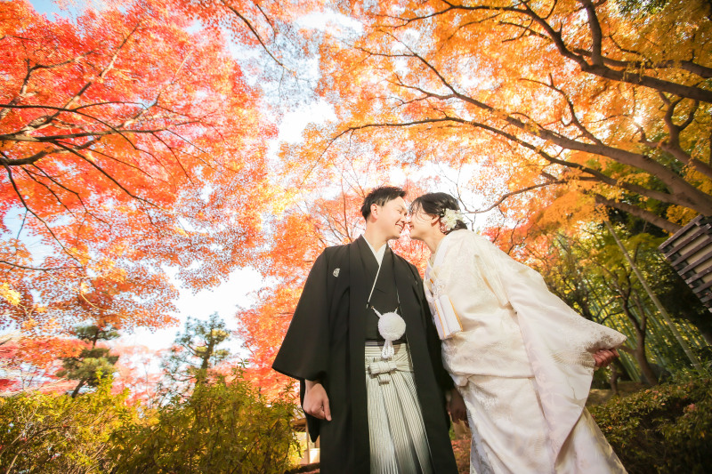 2022年紅葉フォトのご予約はラストチャンス!