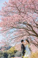 【河津桜プラン受付中!今なら3万円OFFでお得】