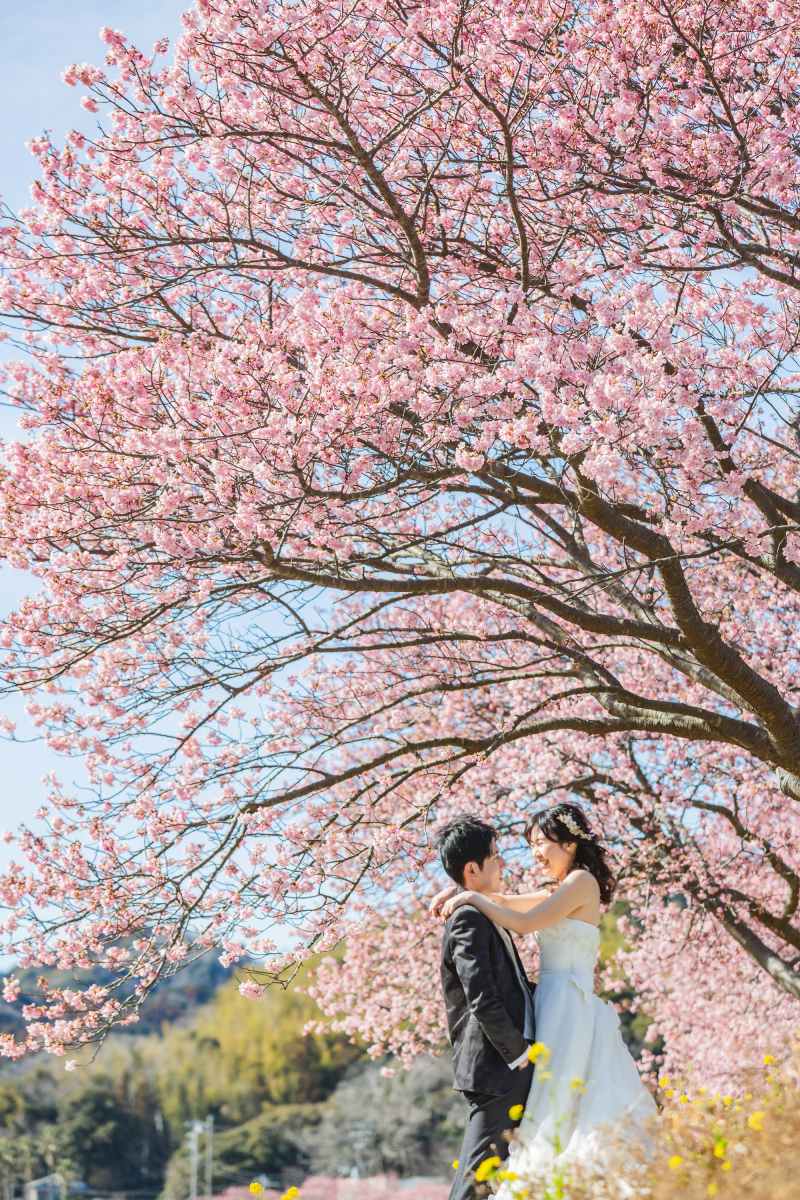 【河津桜プラン受付中!今なら3万円OFFでお得】