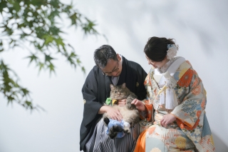 猫ちゃんとの撮影！