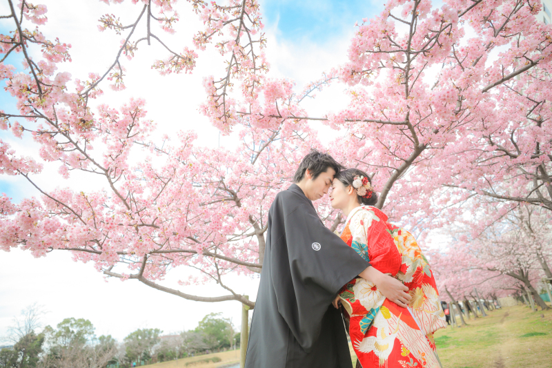東京の河津桜！