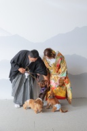 3匹のわんちゃんと和装で!